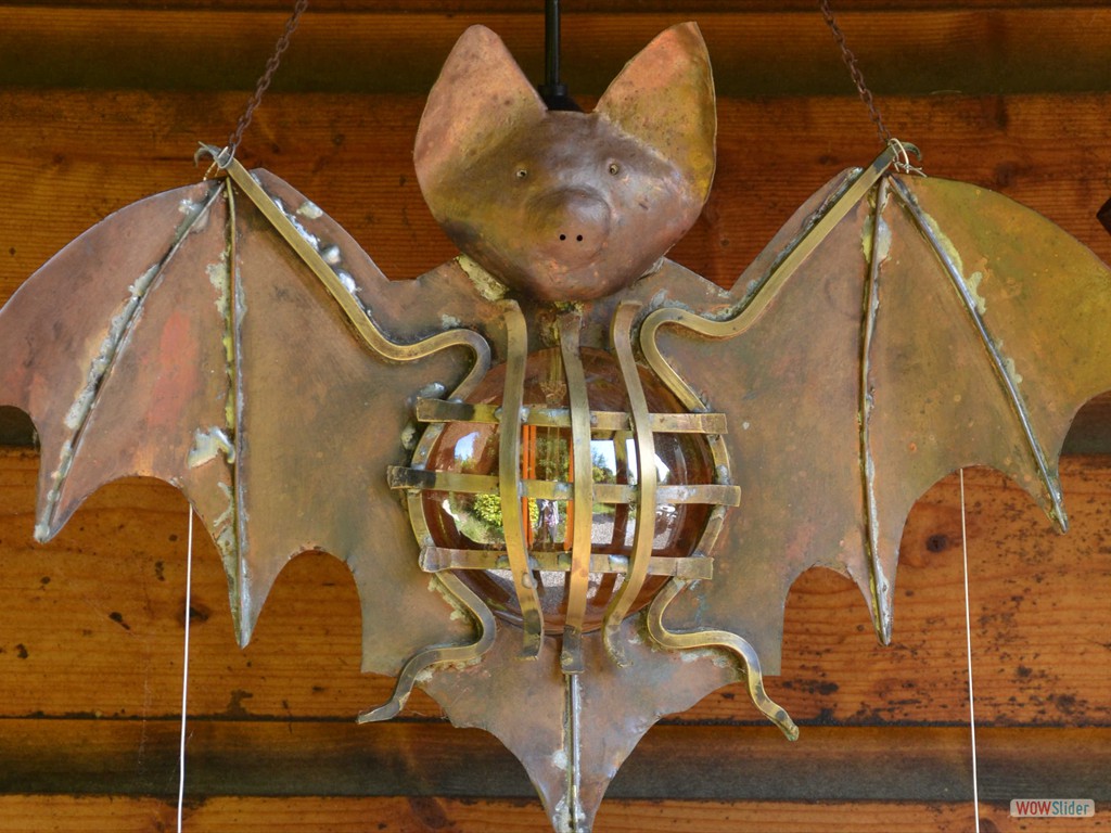 0-Chauve-souris faite maison