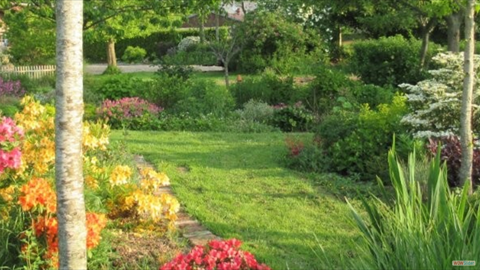 azalee molis vue large