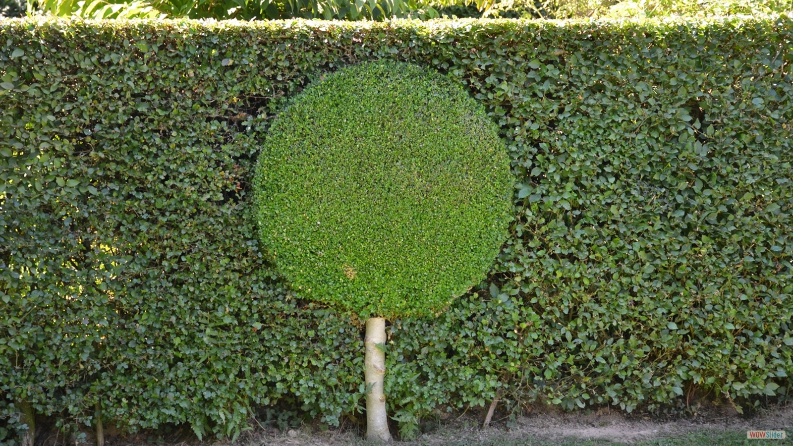 Jardin des espaces (1)