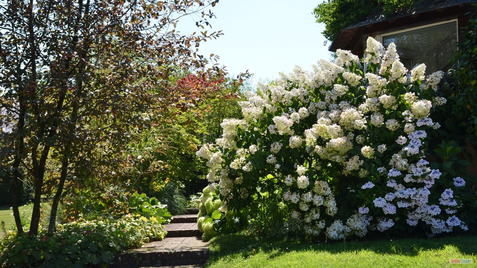 Jardin des espaces (3)