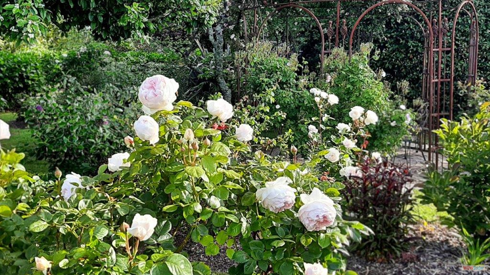 javascript slideshow