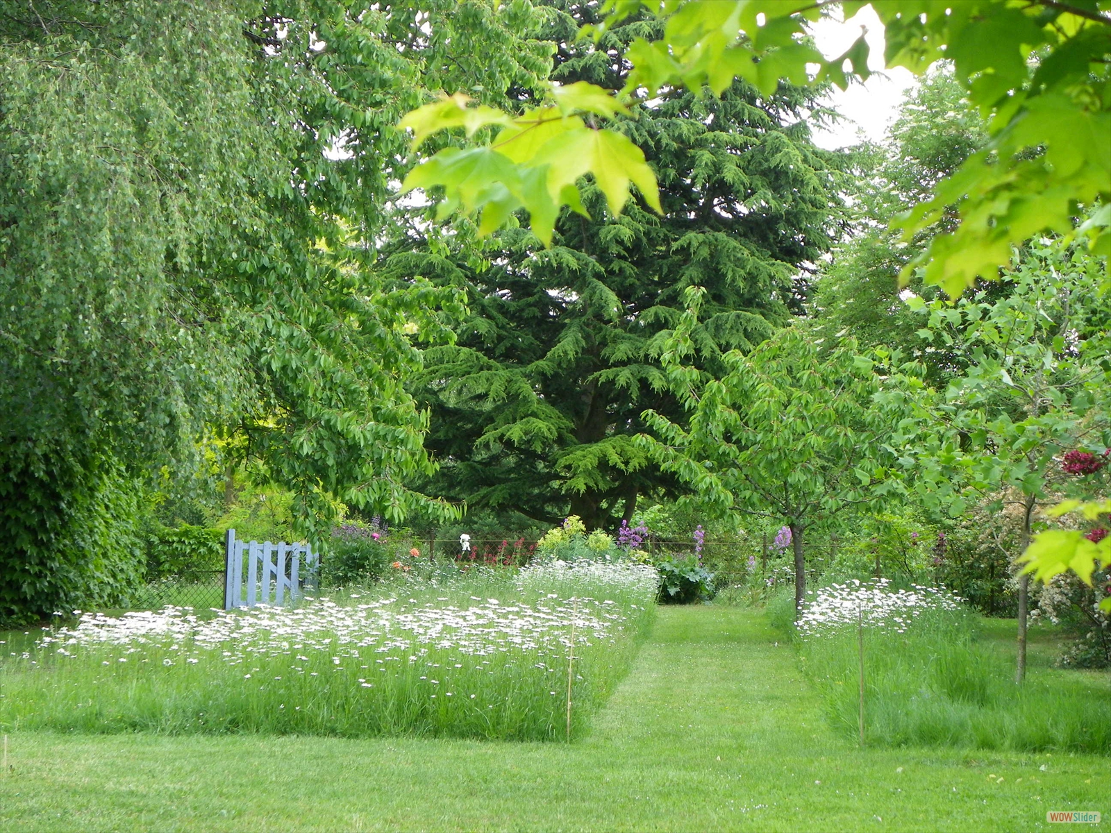 photos de jardin 001