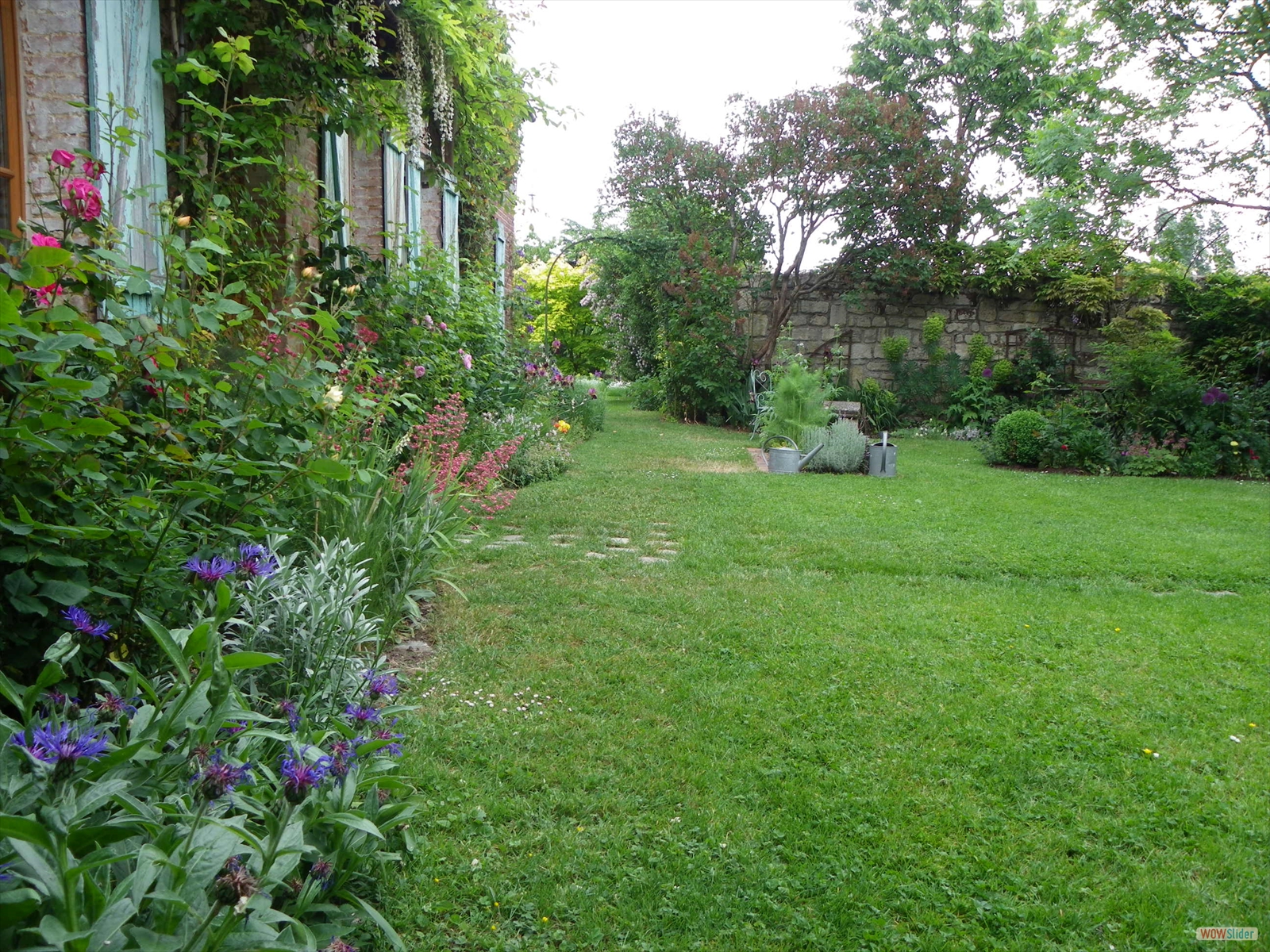 photos de jardin 002