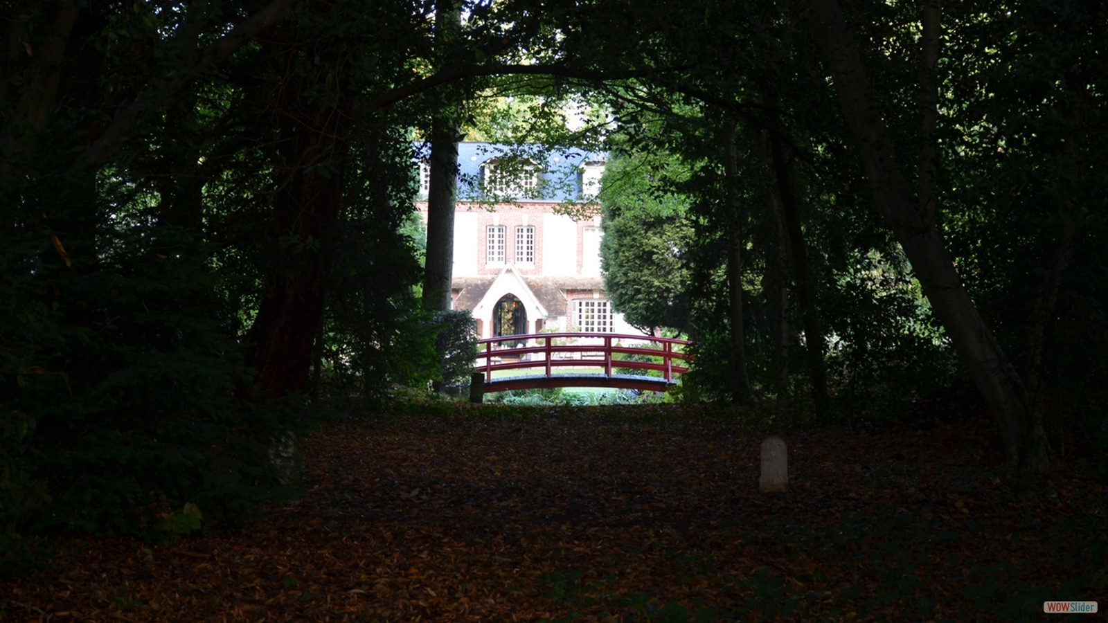 La jardin de Guillaumette (5)