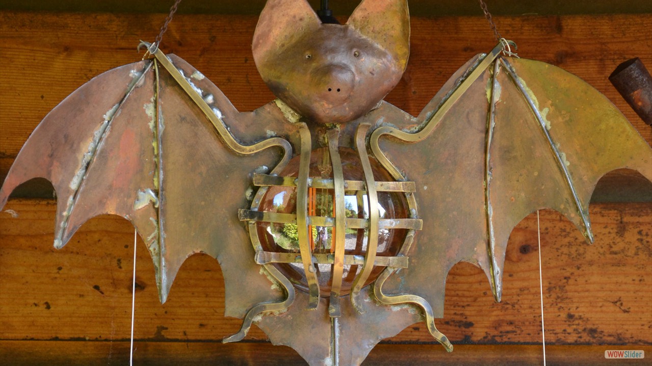0-Chauve-souris faite maison