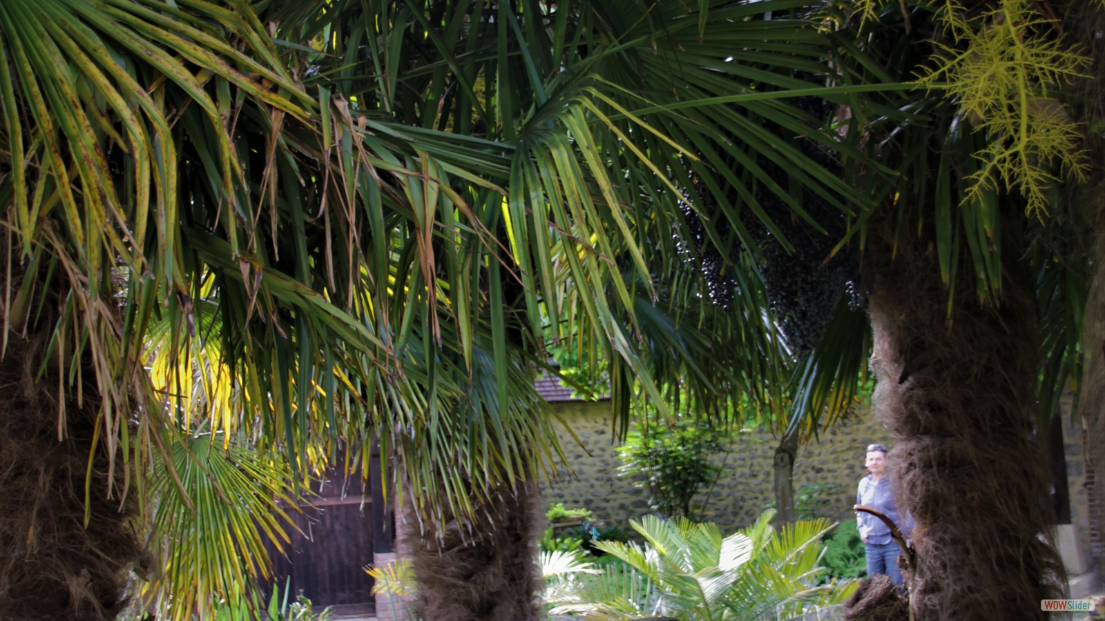 Gaby BRICO MARCHE 6 (2)