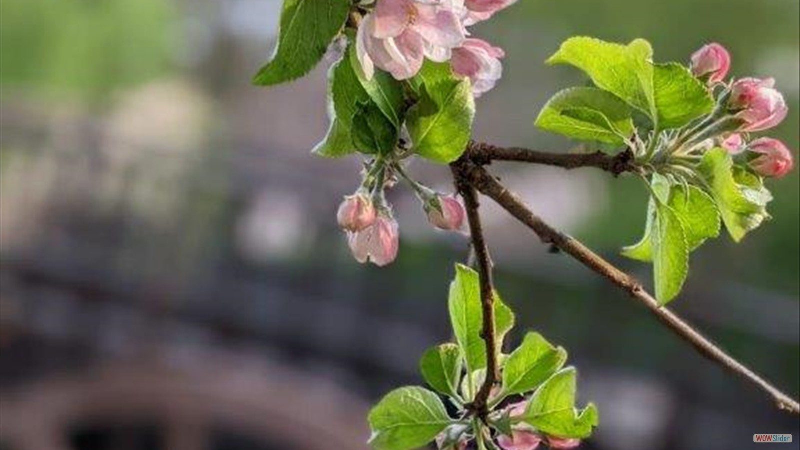 28f854ce-d241-40f3-bc1d-9d84d3ce5bda