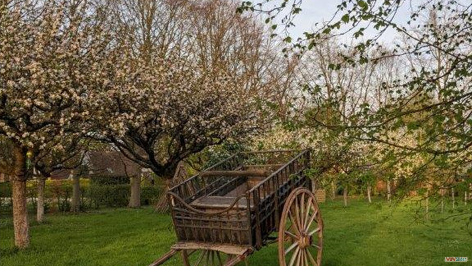 2df0d90d-6d99-4678-9d43-2ca1c301ab0d