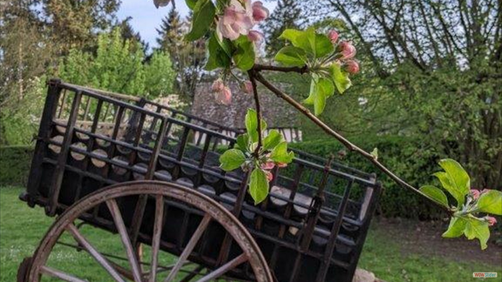 e424f3dd-d340-4f7a-84c1-b6c7218591ef