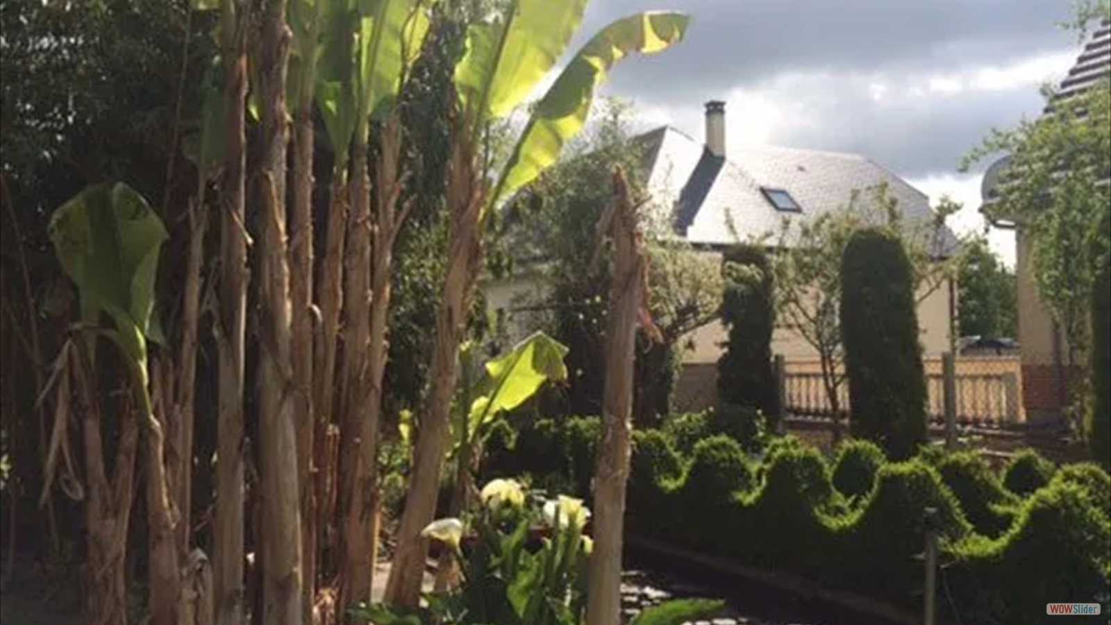 5edebceaaee85_cote_1