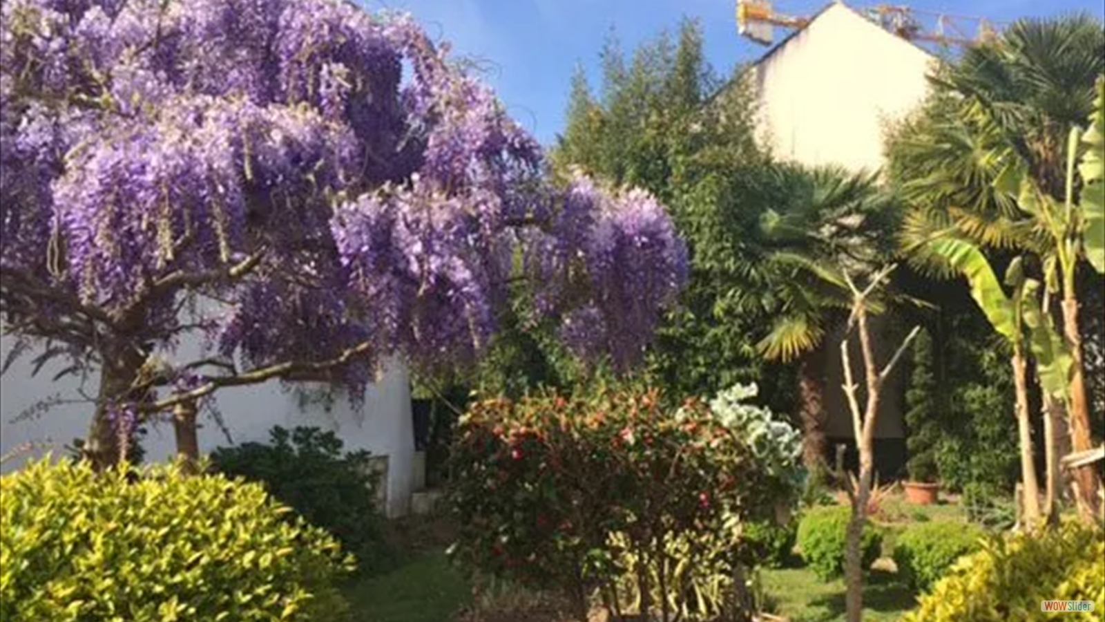 5edebceb4ea9d_glycine