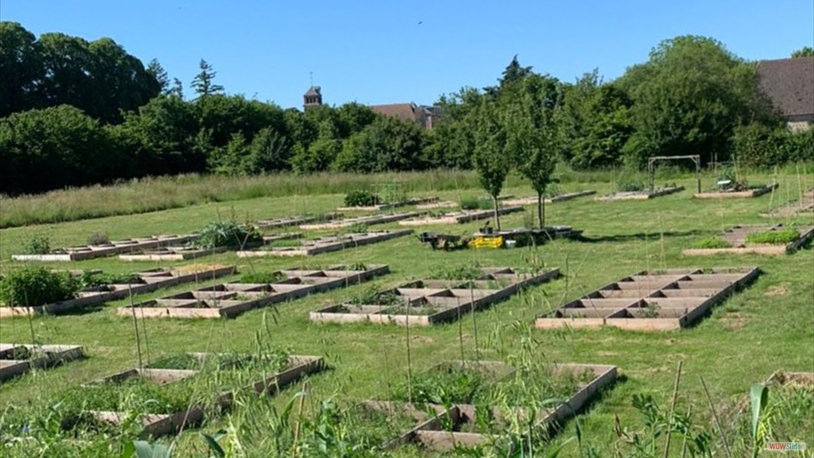 Potager �t� 2021