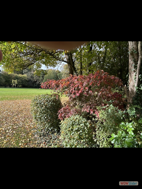 jquery image carousel