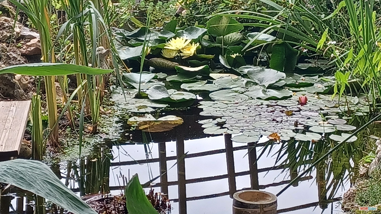 10_la_fontaine._juillet_2023.