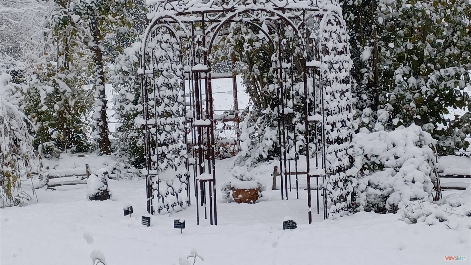 Tonnelle sous la neige