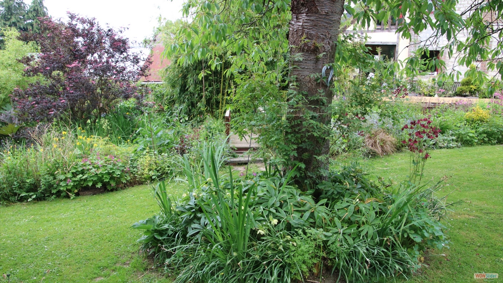 En terres d'Arélaune (1)