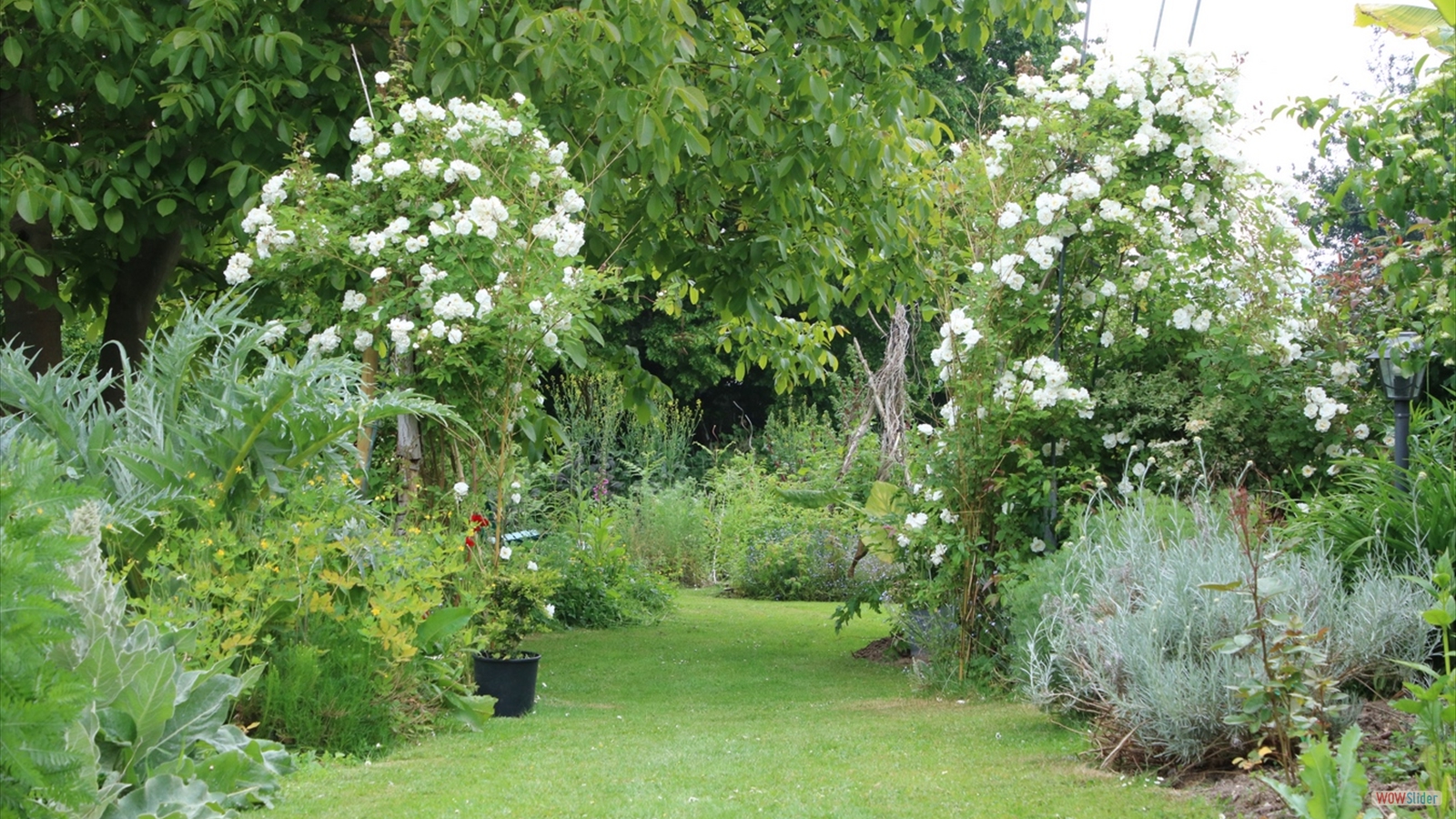 En terres d'Arélaune (2)