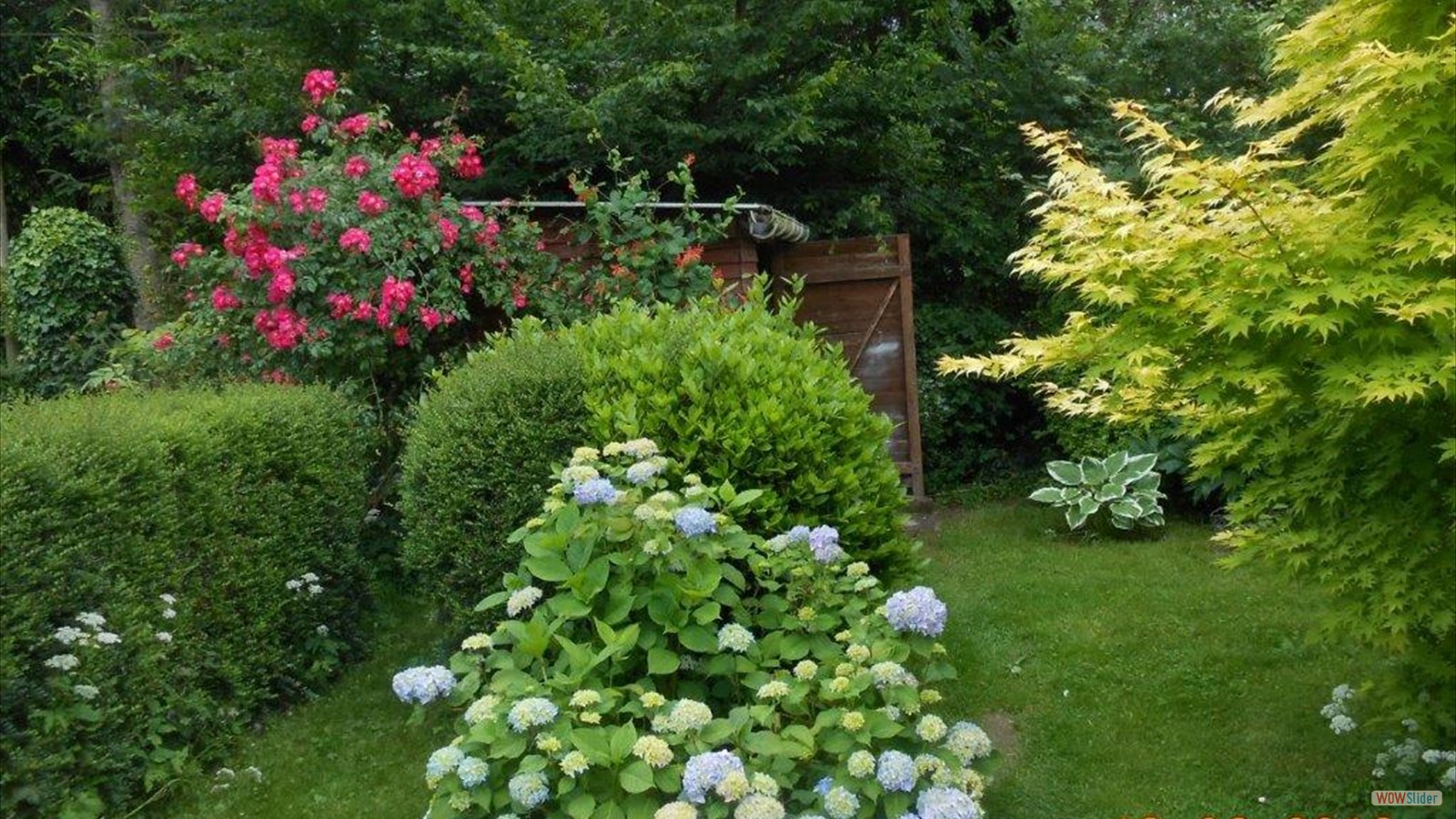 273472519_1133952970710922_318322384117933537_n