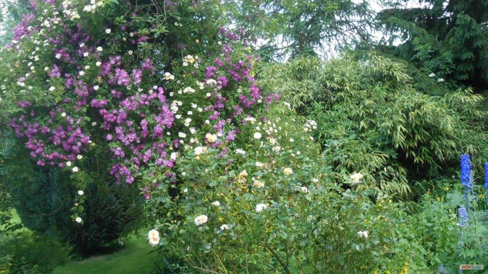 273539557_1133992504040302_4631021133682617722_n