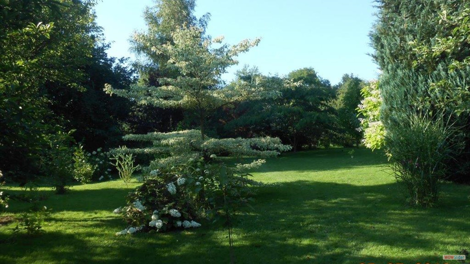 46237099_354723991967161_6277383797352693760_n