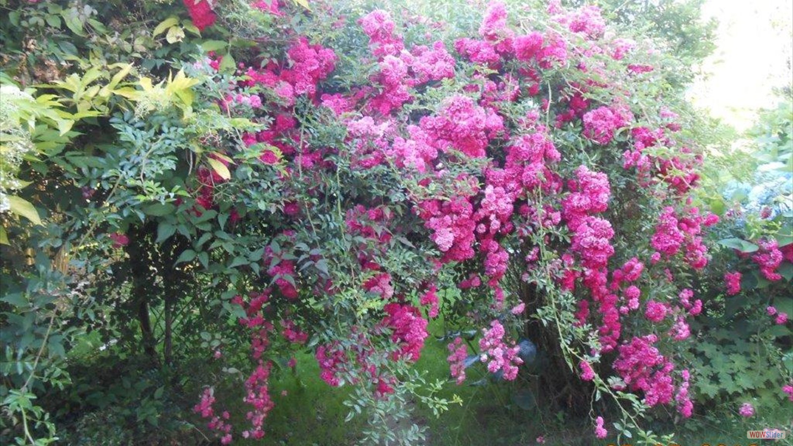 46279531_354722355300658_1912549469484744704_n