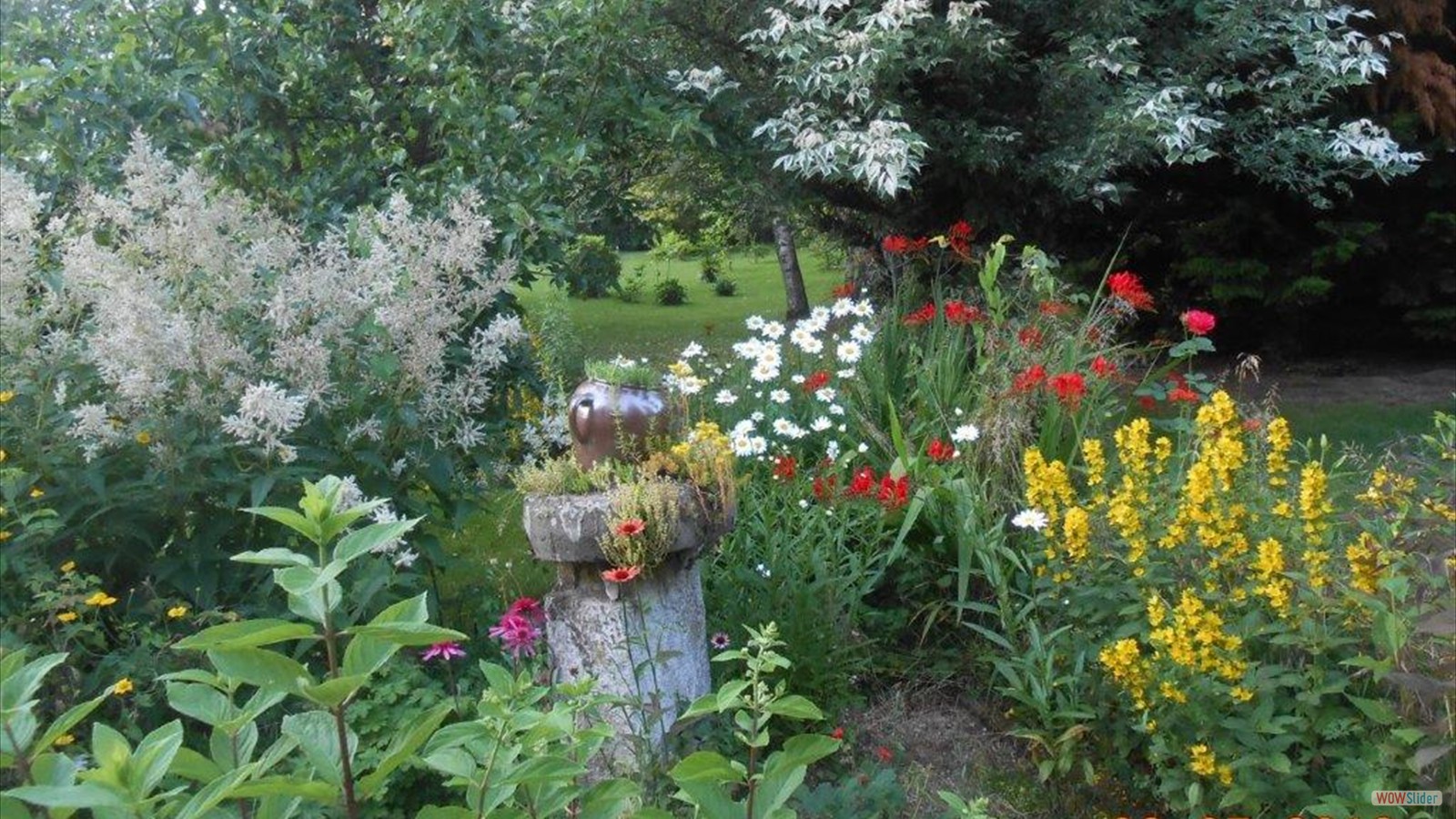 46294169_354918861947674_2920775707732738048_n