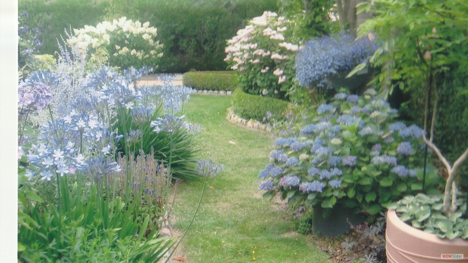 javascript slideshow