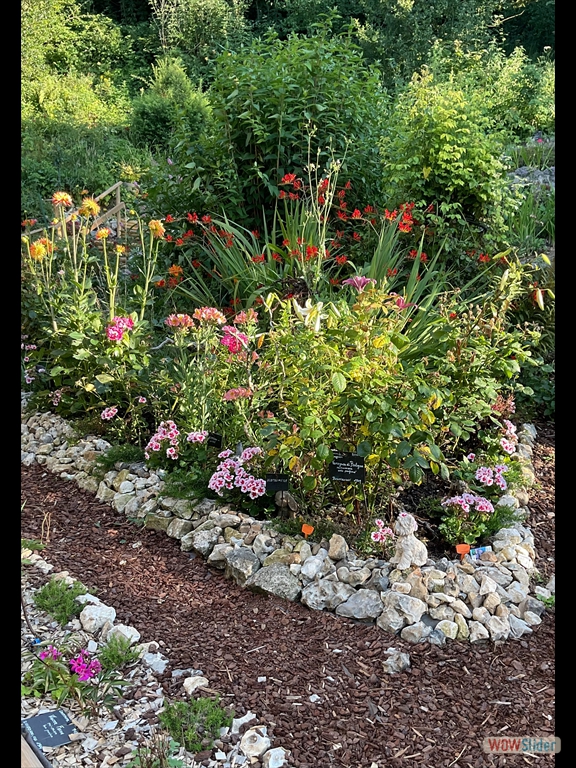 C32A9B5C-3081-4F61-BC72-F2DC2D6E9CB9